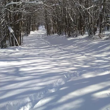 Monolocale Sulle Piste Alle Polle *