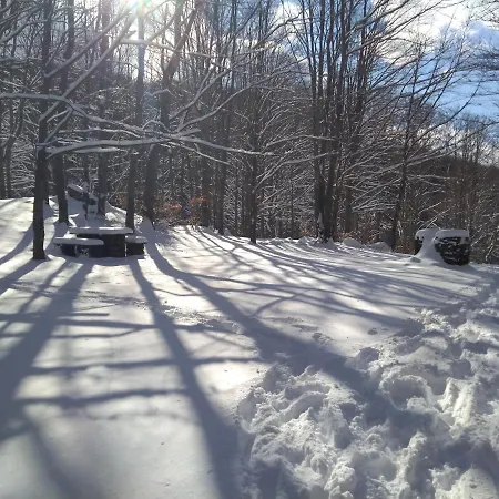 Monolocale Sulle Piste Alle Polle