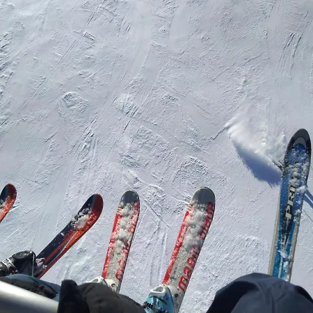 Apartment Monolocale Sulle Piste Alle Polle *