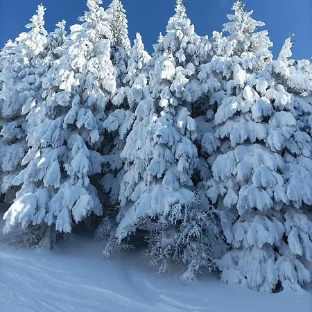 Monolocale Sulle Piste Alle Polle Riolunato