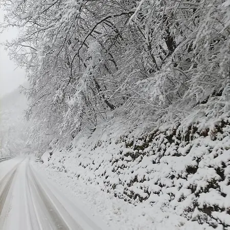 Monolocale Sulle Piste Alle Polle *