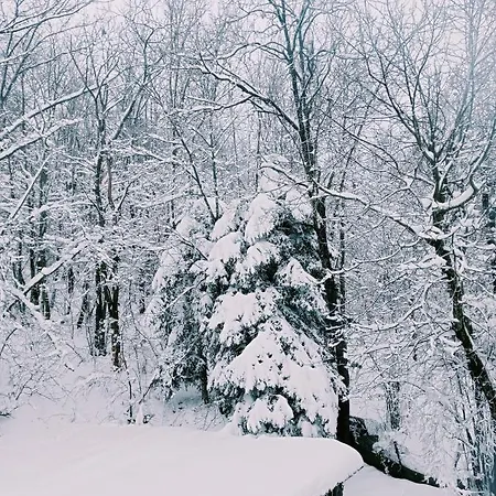 Monolocale Sulle Piste Alle Polle Apartment *