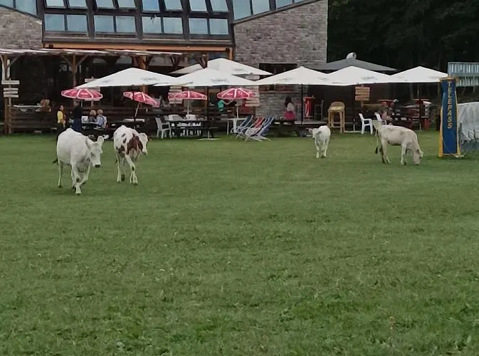 Monolocale Sulle Piste Alle Polle Appartement Riolunato